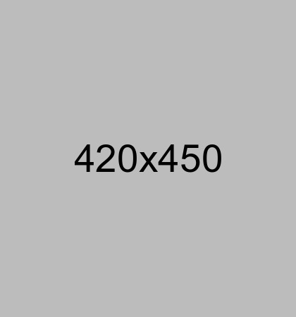 Banner 1